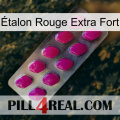Étalon Rouge Extra Fort 09